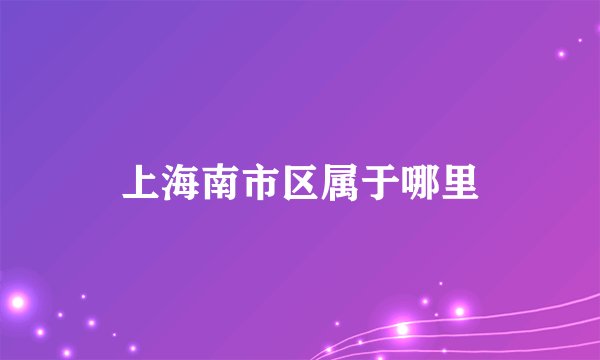 上海南市区属于哪里