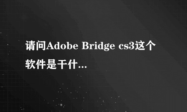 请问Adobe Bridge cs3这个软件是干什么用的?
