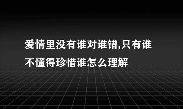 爱情里没有谁对谁错,只有谁不懂得珍惜谁怎么理解