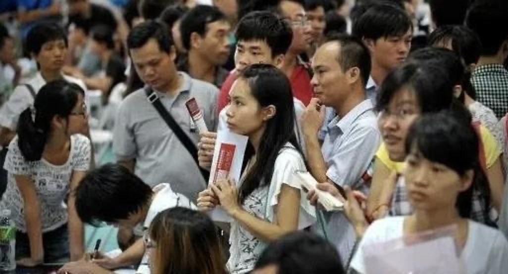 三个应届生的就业季