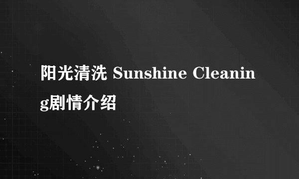 阳光清洗 Sunshine Cleaning剧情介绍