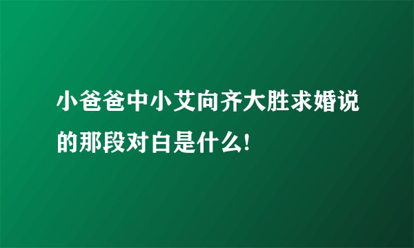 小爸爸中小艾向齐大胜求婚说的那段对白是什么!