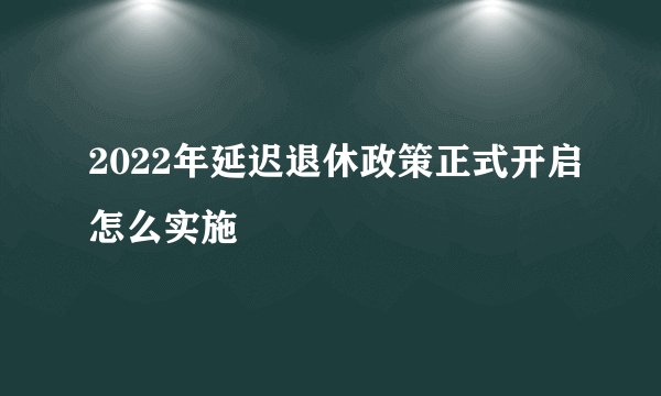 2022年延迟退休政策正式开启怎么实施
