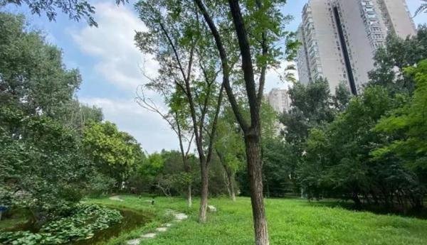 颐源居 | 京西三环 · 海淀公主坟 · 2003年建成 · 约49-298平一至六居 · 翠微小学对口 · 次新商品房