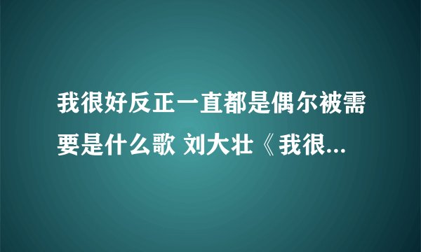 我很好反正一直都是偶尔被需要是什么歌 刘大壮《我很好》完整歌词介绍