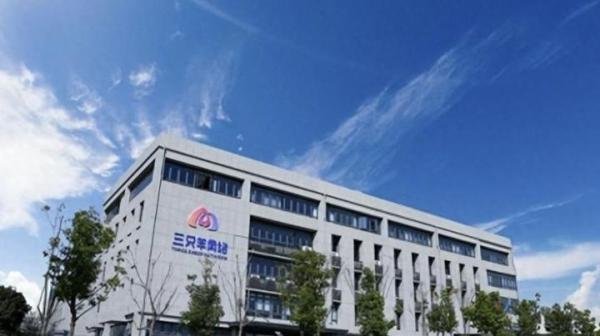 疯狂小杨哥，再也疯狂不起来了