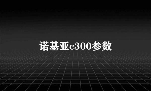诺基亚c300参数