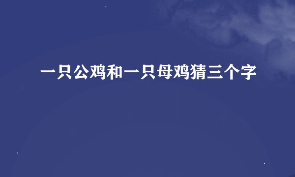 一只公鸡和一只母鸡猜三个字