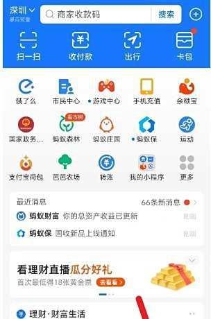 支付宝5次密码全错,怎么办,被锁了