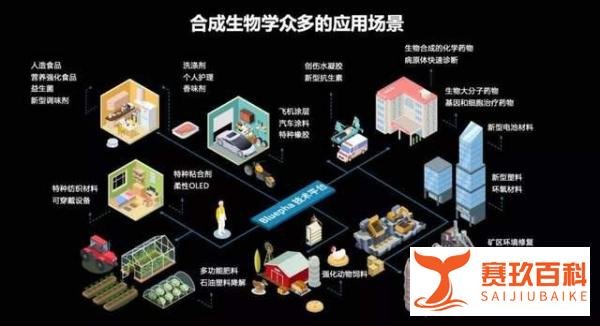万亿级新风口：合成生物学概念股名单