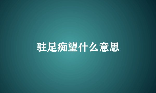 驻足痴望什么意思