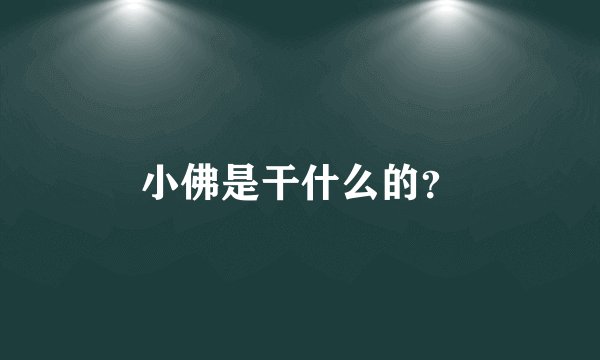 小佛是干什么的？