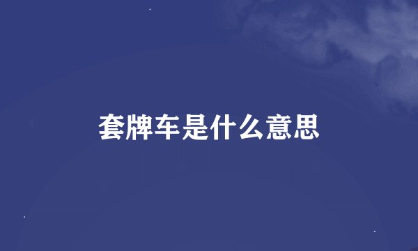 套牌车是什么意思