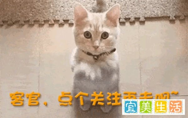 很多名人都在为李玟说话！张伦硕怒斥“不要脸”，穆婷婷表示不敢置信。