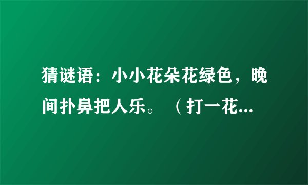 猜谜语：小小花朵花绿色，晚间扑鼻把人乐。 （打一花卉）谜底是什么？