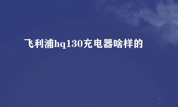 飞利浦hq130充电器啥样的