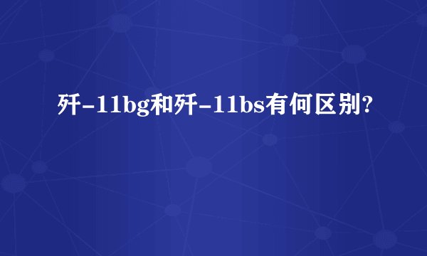 歼-11bg和歼-11bs有何区别?