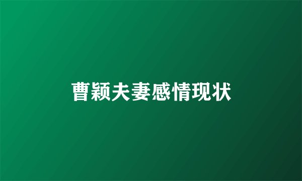 曹颖夫妻感情现状