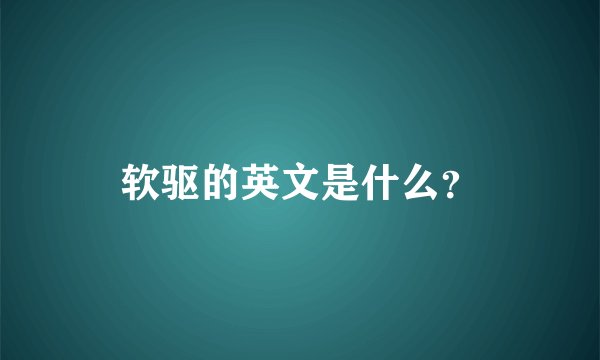 软驱的英文是什么？