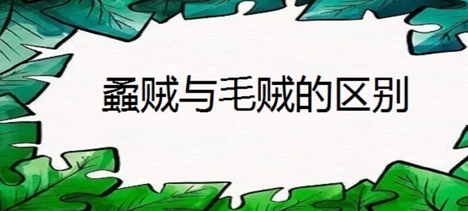 蟊贼与毛贼的区别是什么?