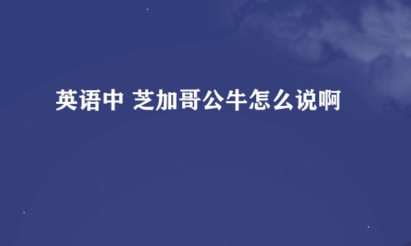 英语中 芝加哥公牛怎么说啊