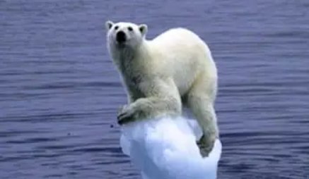 40℃已进不了全国高温排行榜,极端高温天气还会继续恶化吗?