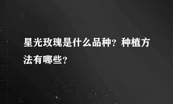 星光玫瑰是什么品种？种植方法有哪些？
