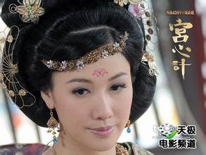 宫心计的剧情简介