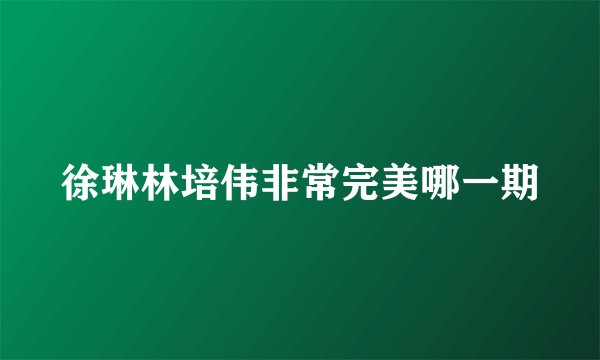 徐琳林培伟非常完美哪一期