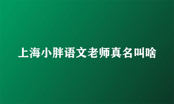 上海小胖语文老师真名叫啥