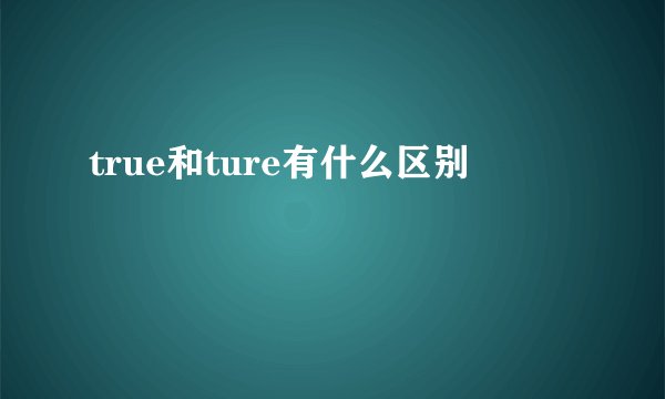 true和ture有什么区别