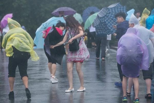 台风纳沙逼近，螃蟹被吹上码头，这就是来自大自然的馈赠吗？
