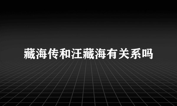 藏海传和汪藏海有关系吗