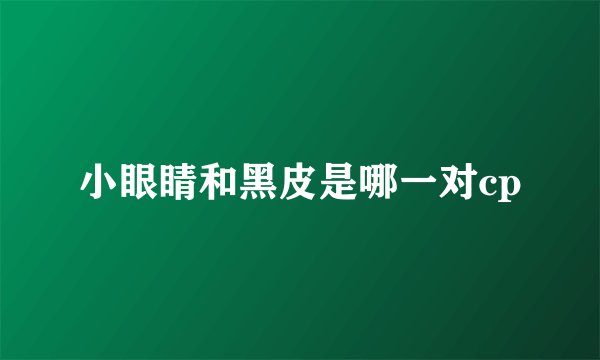 小眼睛和黑皮是哪一对cp