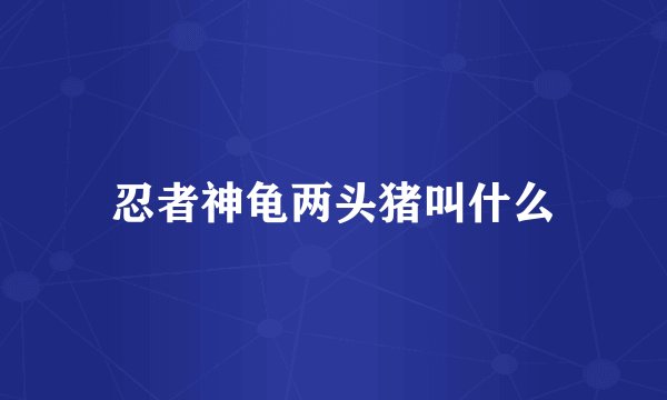 忍者神龟两头猪叫什么