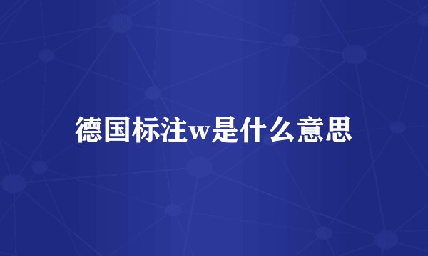 德国标注w是什么意思