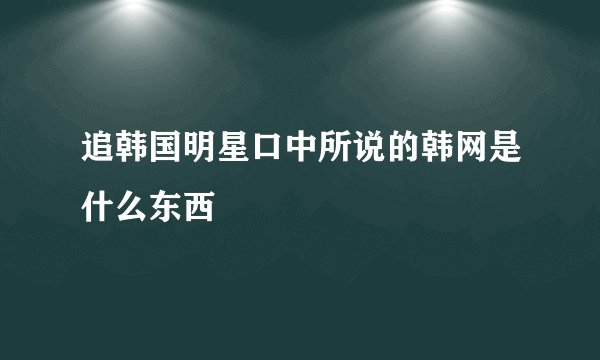 追韩国明星口中所说的韩网是什么东西