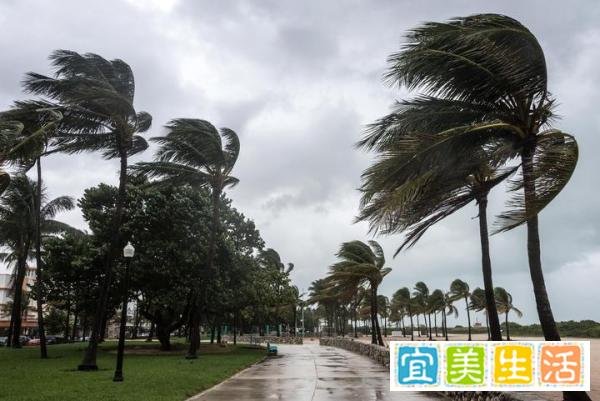 今年第7号台风“木兰”已生成，相关事项请注意