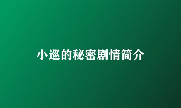 小巡的秘密剧情简介