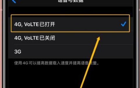 苹果手机如何设置一边通话一边上网？