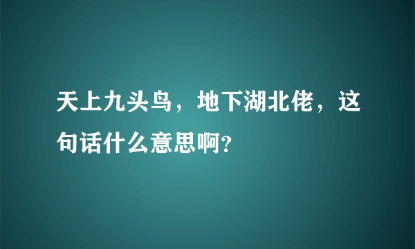 天上九头鸟，地下湖北佬，这句话什么意思啊？