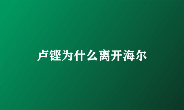 卢铿为什么离开海尔