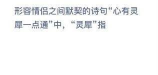 蚂蚁庄园答案形容情侣之间默契的诗句