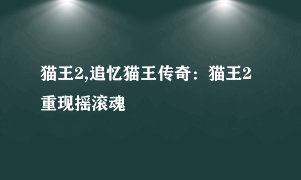 猫王2,追忆猫王传奇：猫王2重现摇滚魂