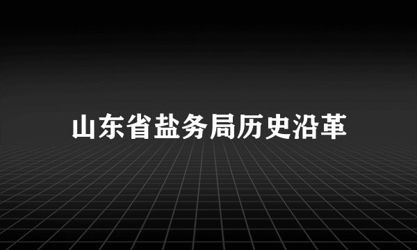 山东省盐务局历史沿革