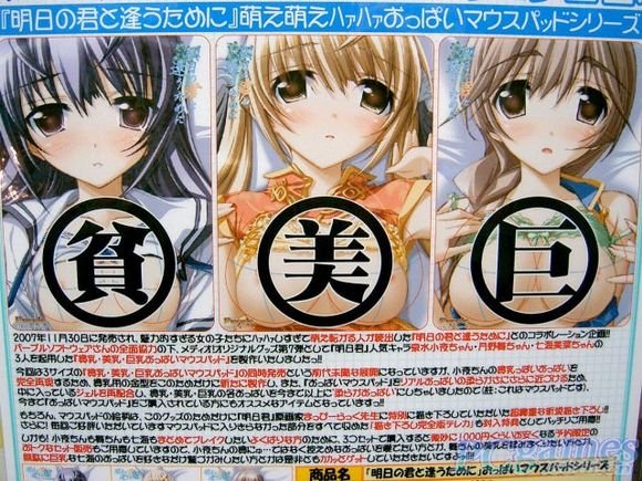 明天的七海和你相逢的介绍