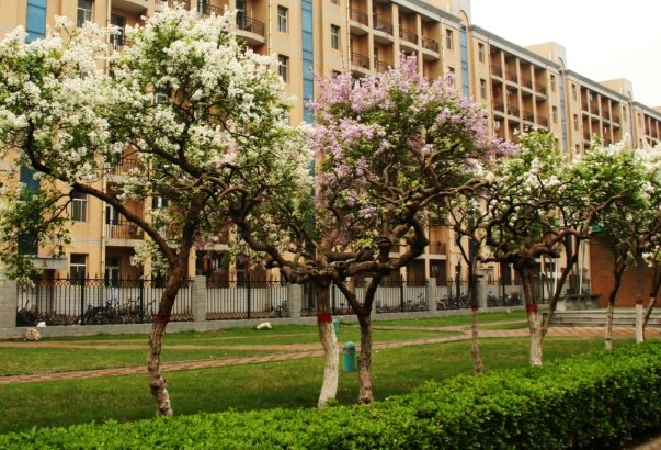 2023河北地质大学录取线是多少？