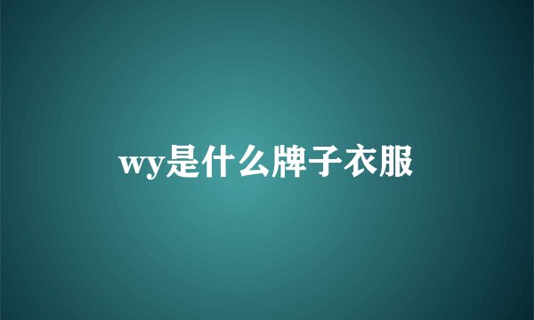 wy是什么牌子衣服