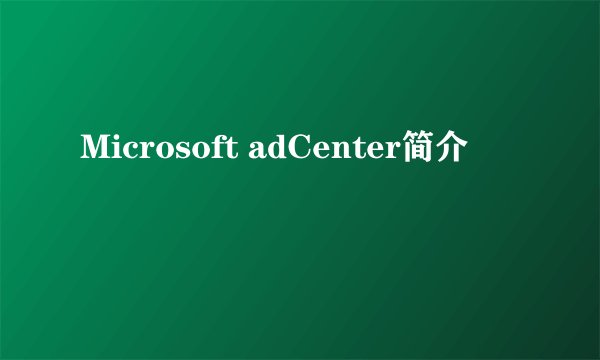Microsoft adCenter简介