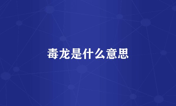毒龙是什么意思